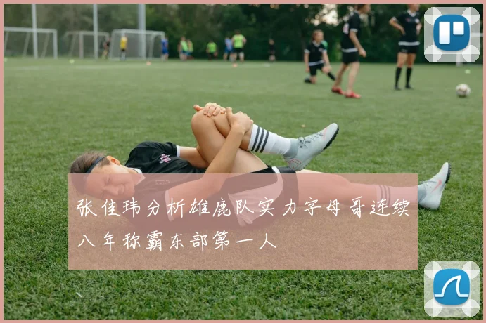 张佳玮分析雄鹿队实力字母哥连续八年称霸东部第一人